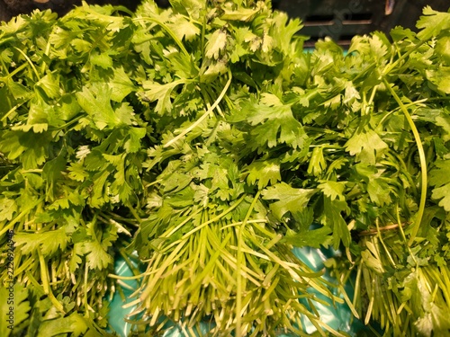 bunches of fresh green parsley on a supermarket 2