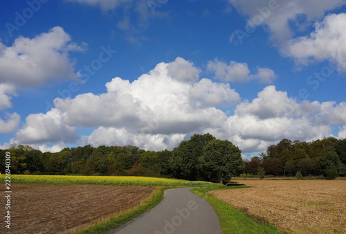 country road in the countryside