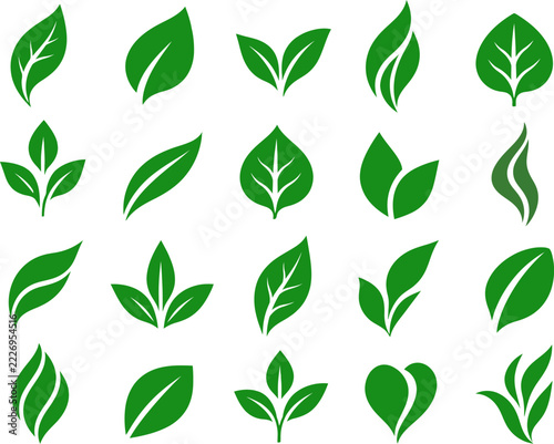 Green Leaf Silhouette Collection, Minimalist Botanical Foliage Icons and Nature Plant Elements Isolated on White Background