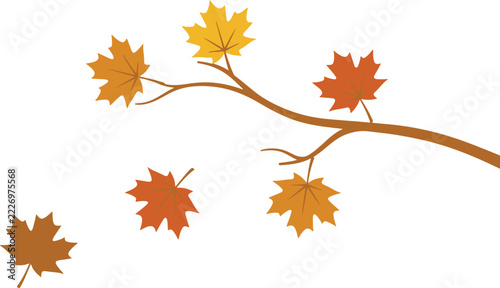 Autumn maple leaves on a tree branch, colorful fall foliage in orange, yellow, and brown, seasonal nature decoration, editable vector