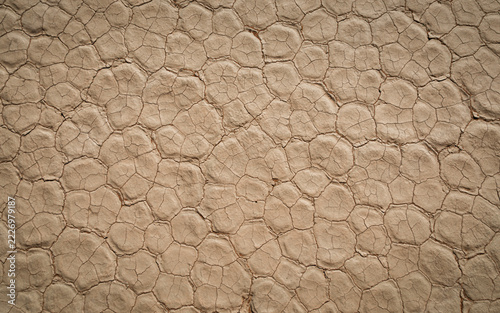 Drought ravaged earth 