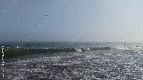 Sea waves crashes and splashes white foam while seagulls fly over the water under a hazy blue sky