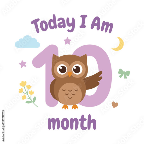 Cute brown owl milestone card featuring number ten and infant elements