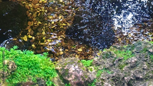 Shallow Stream Flowing Over Pebbles, Peaceful Nature Scene