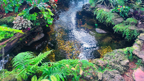 Small Rocky Stream in a Lush Garden, Natural Water Feature