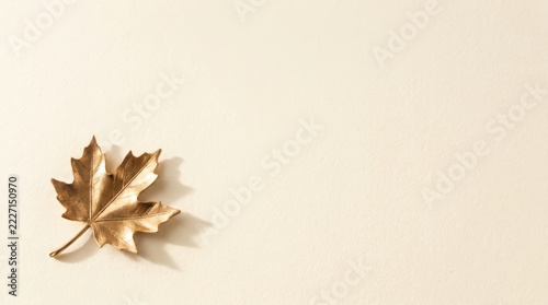 Single maple leaf on textured beige background with autumn foliage