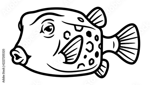 Box Fish Illustration: A whimsical illustration of a box fish with a round body, distinctive spots, and a puckered mouth, captured in a playful, simplified style.