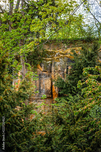 Natural sandstone rock formation surrounded by green forest trees and lush vegetation