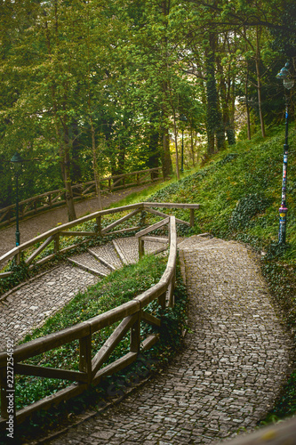 Winding park trail with wooden railings descending through a lush green spring forest