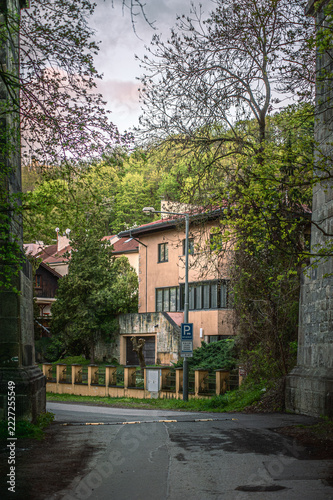 European style residential building surrounded by spring green trees and flowering foliage