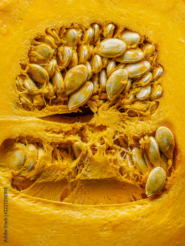 Close-Up of Fresh Pumpkin Seeds and Flesh Inside Orange Squash for Autumn Harvest and Cooking
