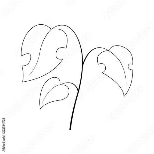 Vector illustration of an abstract leaf outline