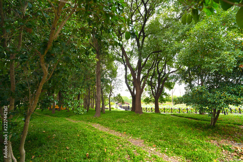 Photography Landscape of Shanghai Century Park