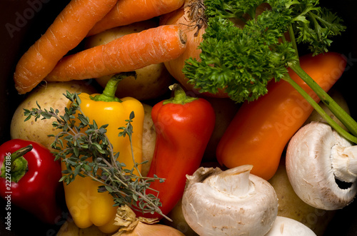 Close-up Details of Fresh Vegetables and Herbs