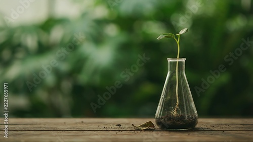 Small green plant growing out of clear glass laboratory flask with soil on wooden table, created with generative ai.