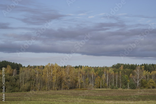 Beautiful autumn landscape with golden forest and green field.