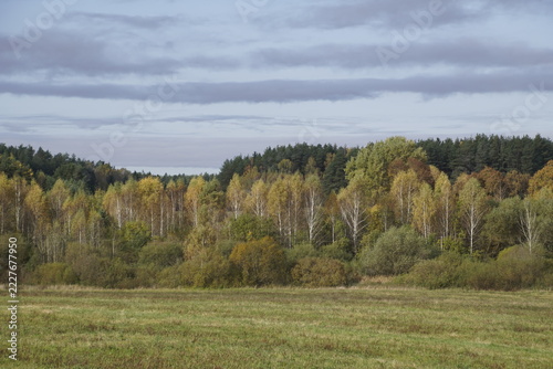 Beautiful autumn landscape with golden forest and green field.