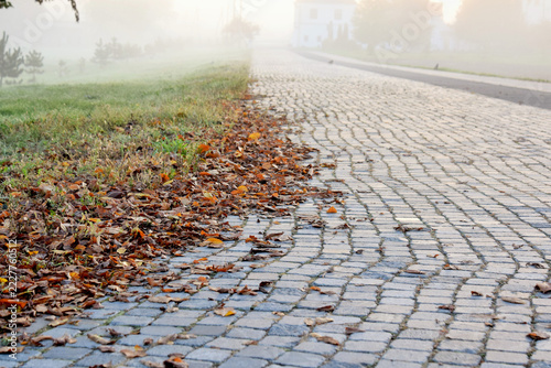 Autumn landscape. A view of a pedestrian path in the fog at sunrise
