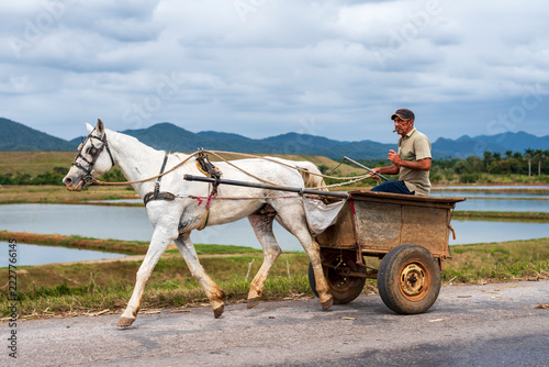 An old Cuban farmer with his horse-drawn cart against the backdrop of the Vinalés countryside 
