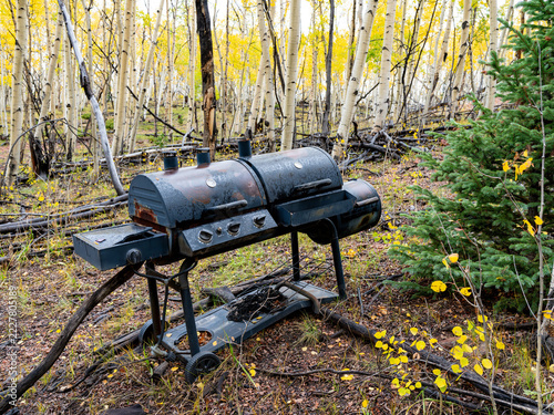 Abandon BBQ in an aspen forest in the fall