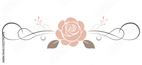Hand drawn vector elegant pink rose. Floral ornament with symmetrical vintage swirls and decorative flourishes