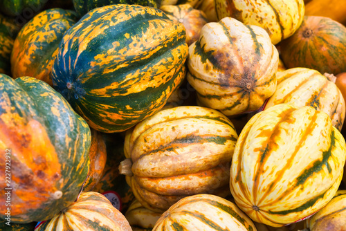 pile of pumpkins in a farmers market