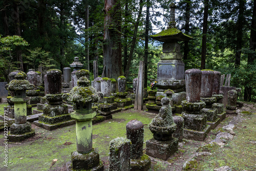 Ancient moss-covered gravestones stand in the serene Kanmangafuchi Abyss, Nikko, Japan, honoring spirits and ancestors.
