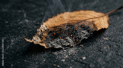 Burning dry autumn leaf with glowing embers and smoke on dark stone surface
