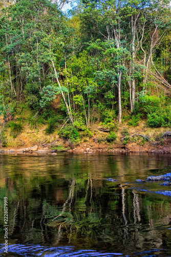 Upper reaches with reflections of Arthur River, Tarkine, Tasmania, Australia