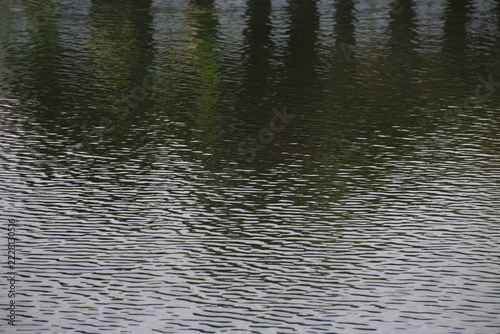 The surface of the lake with the shadows of the trees looks abstract