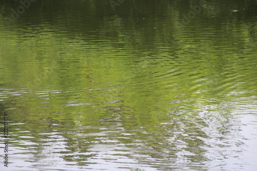 The surface of the lake with the shadows of the trees looks abstract
