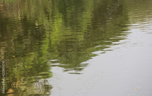 The surface of the lake with the shadows of the trees looks abstract
