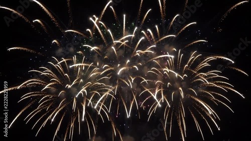 Colorful Fireworks Bursting in the Dark Night Sky