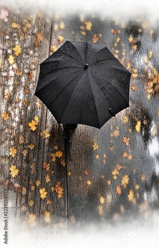 Top view of a black umbrella amidst wet autumn leaves. The wooden ground glistens from rain, creating a tranquil and moody atmosphere.