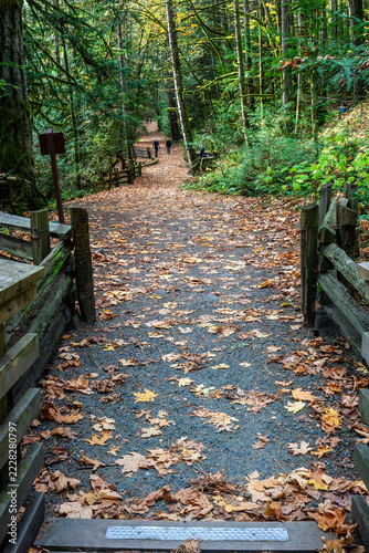 Fotografie Tod Inlet Trail,Brentwood Bay, British Columbia
