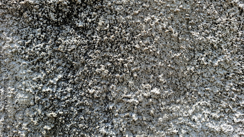 Fotografie Full frame macro texture of a rough coarse cement wall surface with subtle shadows and grainy stone aggregate details
