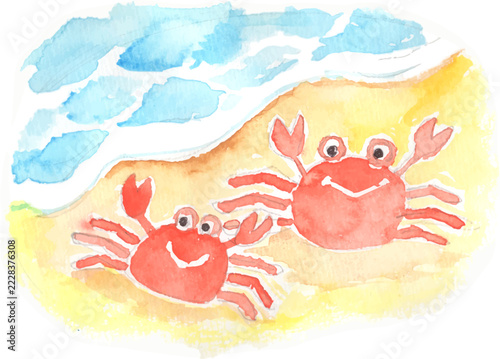 波打ち際のカニの親子のイラスト