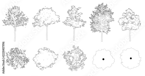 Pack of trees in elevation and plan view for use in architectural drawings	