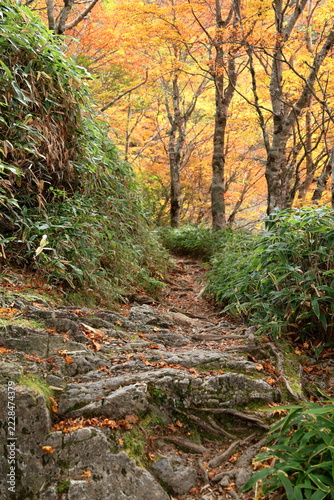秋の剣山を歩く　徳島県