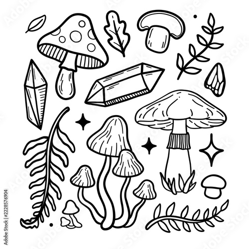 Autumn forest collection - mushrooms and ferns vector illustration