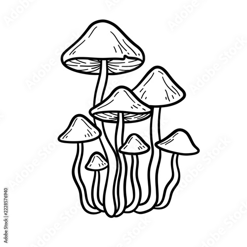 Hand Drawn Mushroom Cluster Line Art Illustration