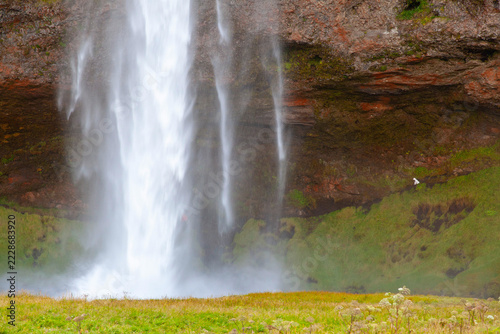 seljalandsfoss waterfall in south iceland with cliffs surrounding