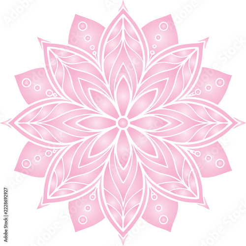 pink flower on white