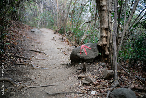 stone with arrow sign showing a way on the footpath