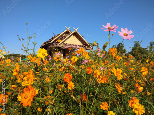 A flower garden and a cottage with a leafy roof.