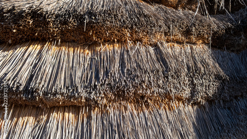 Layers of dry reeds form a thatched roof. Sunlight illuminates the natural texture and creates shadows.