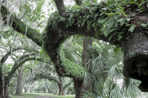 Fern Branch CIty Park New Orleans