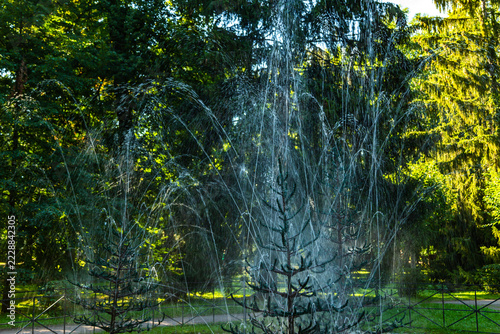 Water jets spray upward in a park fountain. Green trees surround the fountain with sunlight filtering through leaves. Spray creates a misty, refreshing visual effect