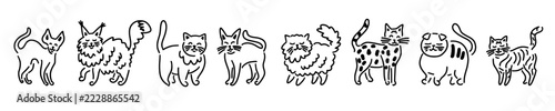 A horizontal pattern of funny hand-drawn cats of different breeds in doodle style	
