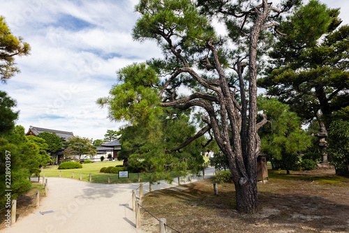 Japanese garden scenery at Nijo Castle Kyoto with manicured greenery, Kyoto, Japan 